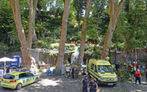 Portugal: la chute d'un arbre fait une dizaine de morts à Madère