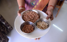 Allergie à l'arachide: des chercheurs australiens annoncent une avancée majeure