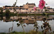 Cyanobactéries toxiques dans la Loire, en Maine-et-Loire