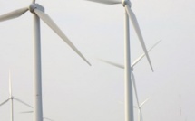 Quand des Mexicains se battent contre des moulins à vent