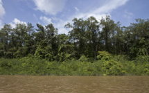 Un projet minier "hors normes" controversé en Guyane française