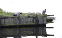 Mystère du sous-marin: l'identification de Kim Wall précise le scénario tragique