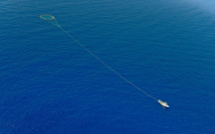 Plus de 45 tonnes de thon rouge saisies sur un chalutier portugais