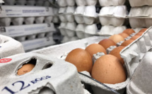 Oeufs contaminés: le ministère de l'Agriculture cherche des résidus d'amitraze