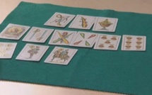 Le "mus", jeu de cartes traditionnel basque, a son championnat du monde aux USA