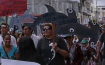 Pêche illégale aux Galapagos : peines de prison pour des marins chinois