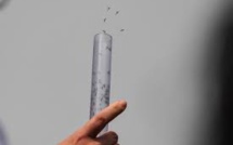 Des millions de moustiques contre la dengue et le zika à Rio