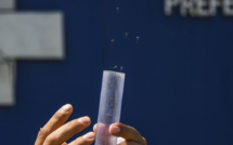 Des millions de moustiques contre la dengue et le zika à Rio