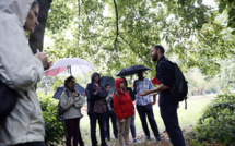 Une petite poêlée du Bois de Boulogne pour le dîner?