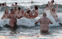 Naturisme et soupe à la patate: les législatives allemandes côté insolite