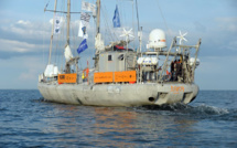 L'expédition Tara se penche sur l'impact du guano sur les coraux