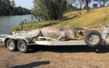 Chasse à l'homme en Australie après la mort d'un crocodile