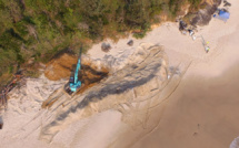 Exhumation et découpage d'une baleine de 18 tonnes sur une plage australienne