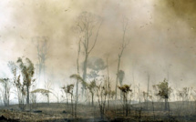 Avec la déforestation, les Tropiques émettent plus de CO2 qu'ils n'en capturent