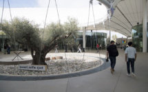 Start-up et pâte à modeler : thecamp veut "explorer le futur" dans la garrigue