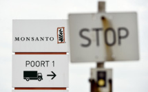Glyphosate: Monsanto visé par une plainte des parents d'un enfant handicapé