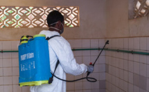 Madagascar: deux universités fermées pour cause de peste, 33 morts