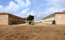 Corse: 6 mois ferme pour avoir maltraité des agneaux dans une "prison ouverte"