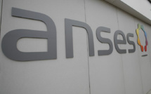 Perturbateurs endocriniens: cinq substances expertisées par l'Anses