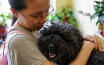 En Italie, des jours de congés pour soigner un animal malade