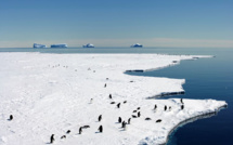 Nouvelles négociations pour un immense sanctuaire marin en Antarctique