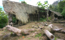 Tohua Koueva : un site en ruine à Taiohae, un moai décapité…