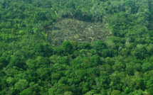 Changement climatique: la gestion des sols peut fortement réduire le CO2