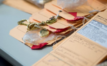 Baisse des vols, hausse des violences conjugales en Nouvelle-Calédonie