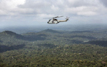 La déforestation due à l'orpaillage s'est accélérée sur le Plateau des Guyanes