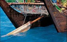 Le Va'a de l'usage traditionnel au courses