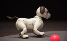 Sony dévoile la nouvelle version de son chien robot Aibo