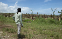 Ouragan Maria: Philippe annonce une aide pour les agriculteurs de Guadeloupe et de Martinique