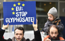 Pas d'accord sur le glyphosate dans l'UE, la décision va en appel
