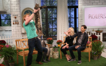 Le plus grand chat du monde porté disparu après un incendie