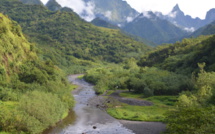 Préservation et suivi écologique du parc de Te Faaiti