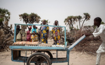 Nord-est du Nigeria: au moins 50 morts dans un attentat-suicide