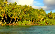 Carnet de voyage:« Gatae », l’or vert de Ahe