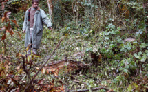 Soupçonnée d'un quintuple infanticide, une mère confondue par son ADN après 14 ans d'enquête