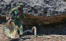 Sur la côte kenyane, le triste sort de tortues assaillies par le plastique