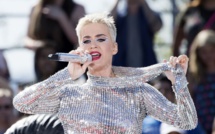 Etats-Unis: un garçon harcelé à l'école devient le meilleur ami des célébrités