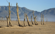Le réchauffement climatique, seul responsable de la canicule en 2016