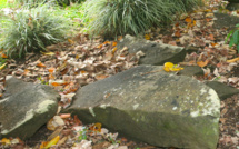 Carnet de voyage - Tubuai à l’âge de pierre…