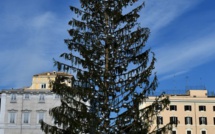 La Ville éternelle moquée pour son sapin défraîchi...