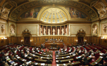 Modification du statut : les sénateurs "n'excluent" pas de faire une proposition de loi organique 