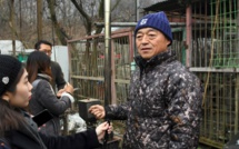 Eleveur de viande canine en Corée du Sud, un métier de chien