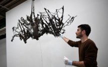 Découverte d'un fossile de chauve-souris géante en Nouvelle-Zélande