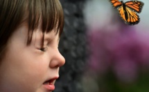 Un "Atchoum!" sonore plutôt que de gros soucis