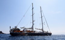 Le séquençage au secours des coraux de l'expédition Tara