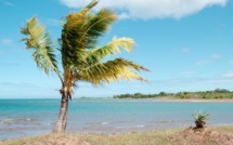 Un homme attaqué par un requin en Nouvelle-Calédonie