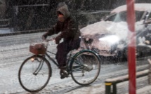 Neige au Japon: des dizaines de blessés, des centaines de vols annulés